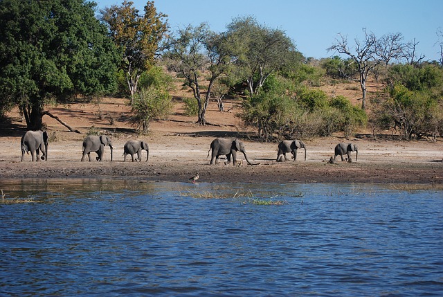 Botswana naturreservat